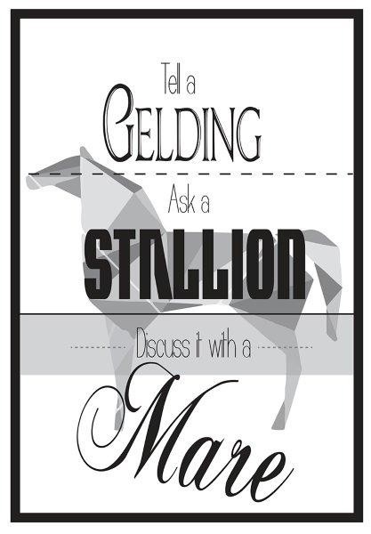 QHP Metalskilt med teksten 'Tell a Gelding, Ask a Stallion, Discuss it with a Mare'