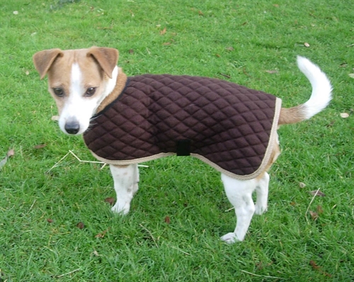 Thermatex Dog Coat - Hundedækken Str. 6 (Large - Labrador)