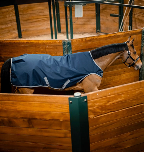 Amigo Ripstop 900D walker rug (100 g)