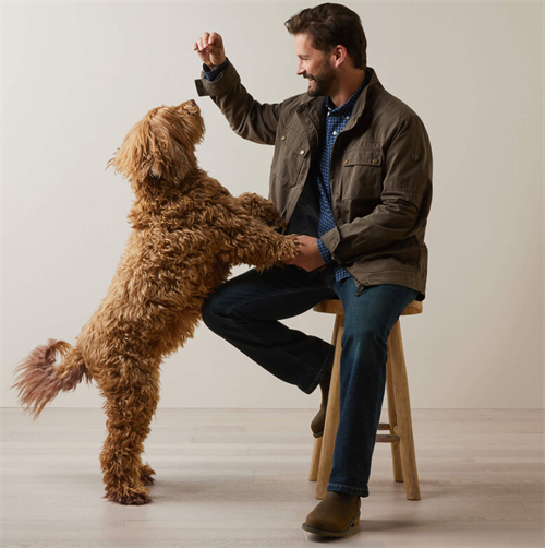 Ariat Calumet Field jakke herre