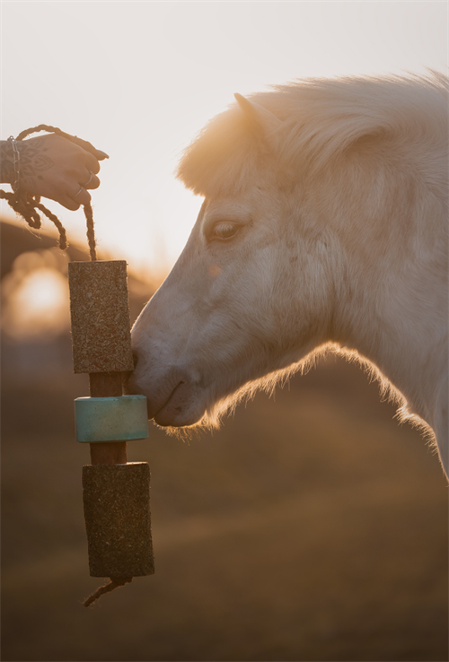 Herbi Horse Breath tyggelegetøj m slikkesten
