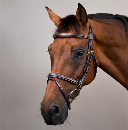 Dyon Anatomisk trense med Flash næsebånd 