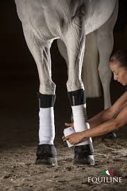 Equiline Bandage Liners Xaviar