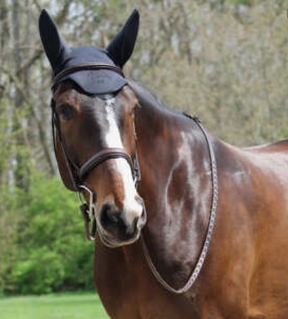 Fenwick Liquid Titanium hut