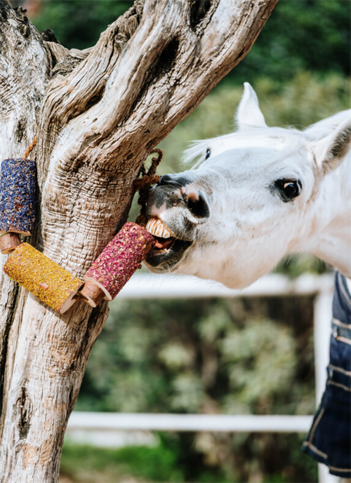 Herbi Horse Happiness tyggelegetøj og snack