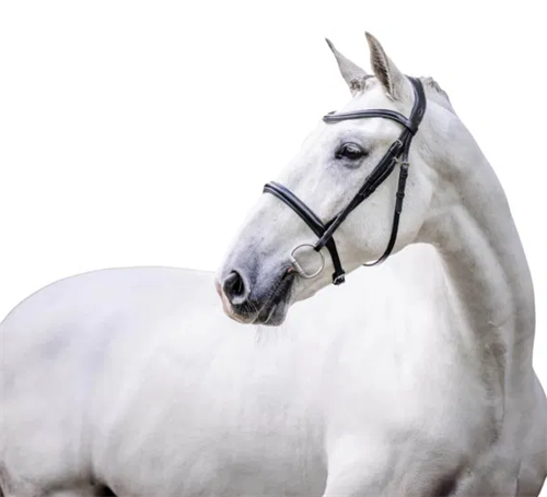 Horseware Cavesson hunter trense