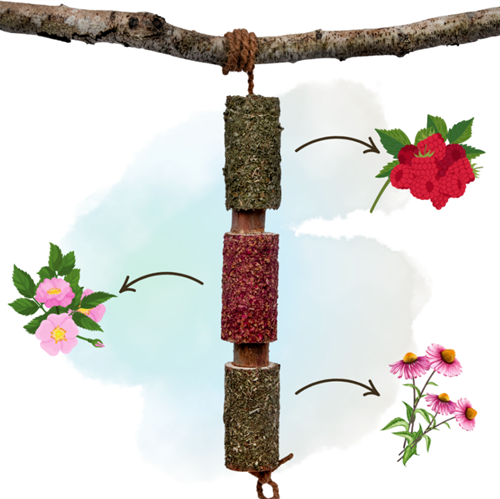 Herbi Horse Immuno tyggelegetøj og snack