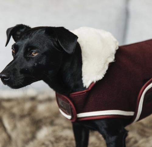 Kentucky Dog Coat Heavy Fleece