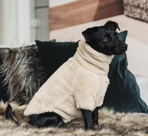 Kentucky Dog Sweater teddy fleece