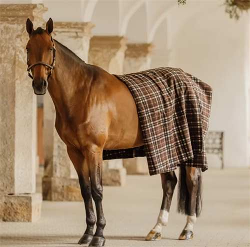 Kentucky Heavy fleece rug square brun tern