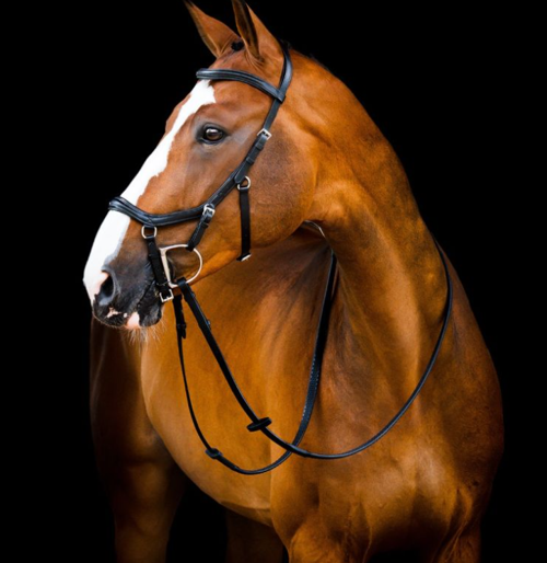 HW Micklem 2 Deluxe Competition bridle anatomisk trense