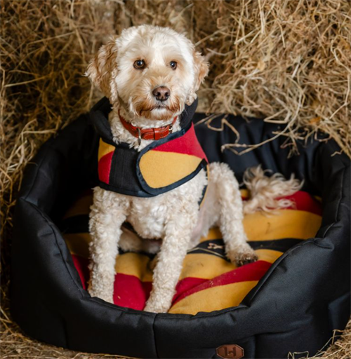 Horseware Newmarket dog bed hundeseng