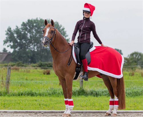 QHP jule lændedækken