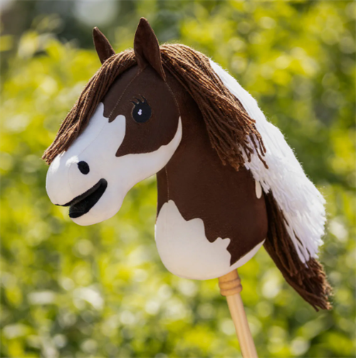 QHP Skewbald kæphest 