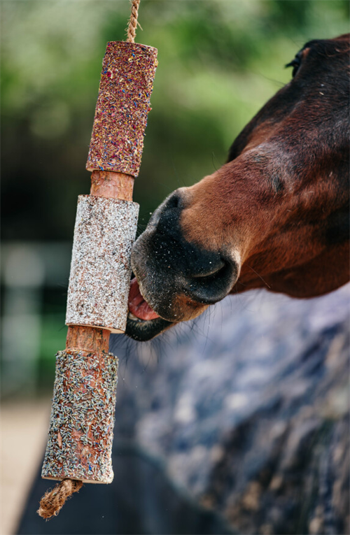 Herbi Horse Relax tyggelegetøj og snack