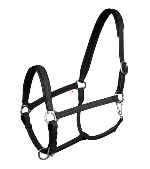 Horka lædergrime Stockholm