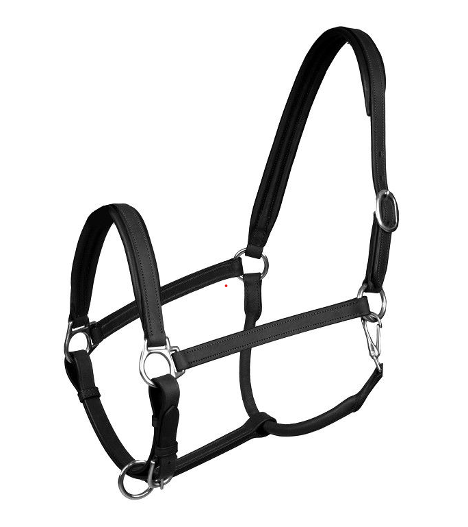 Horka lædergrime Stockholm