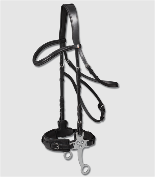 Waldhausen X-Line hackamore trense